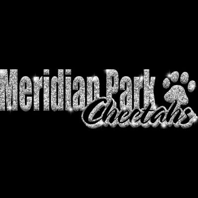 GLT1 SILVER GLITTER Thumbnail