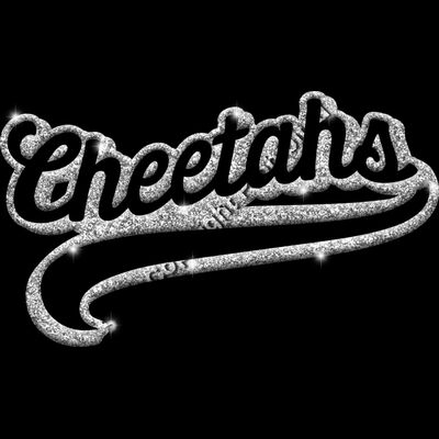 GLT78 SILVER GLITTER Thumbnail